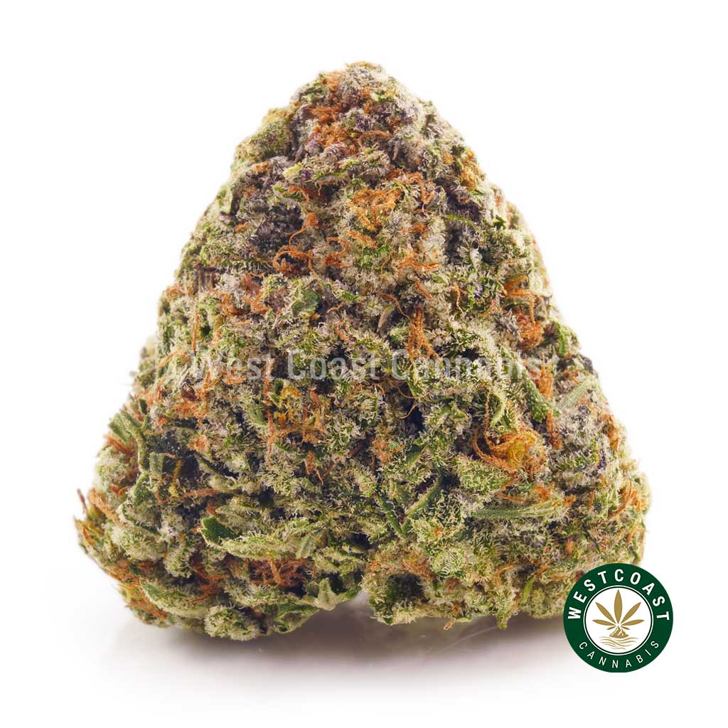 Order weed online BC god bud strain from West Coast Cannabis mail order marijuana. Buy online weeds.