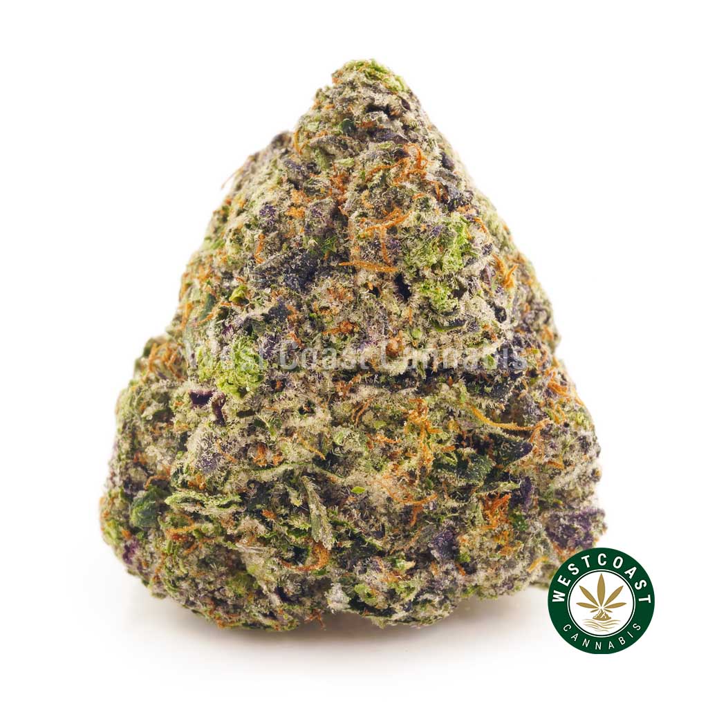 Buy Oreoz weed strain online in Canada from WCC online dispensary West Coast Cannabis Canada.