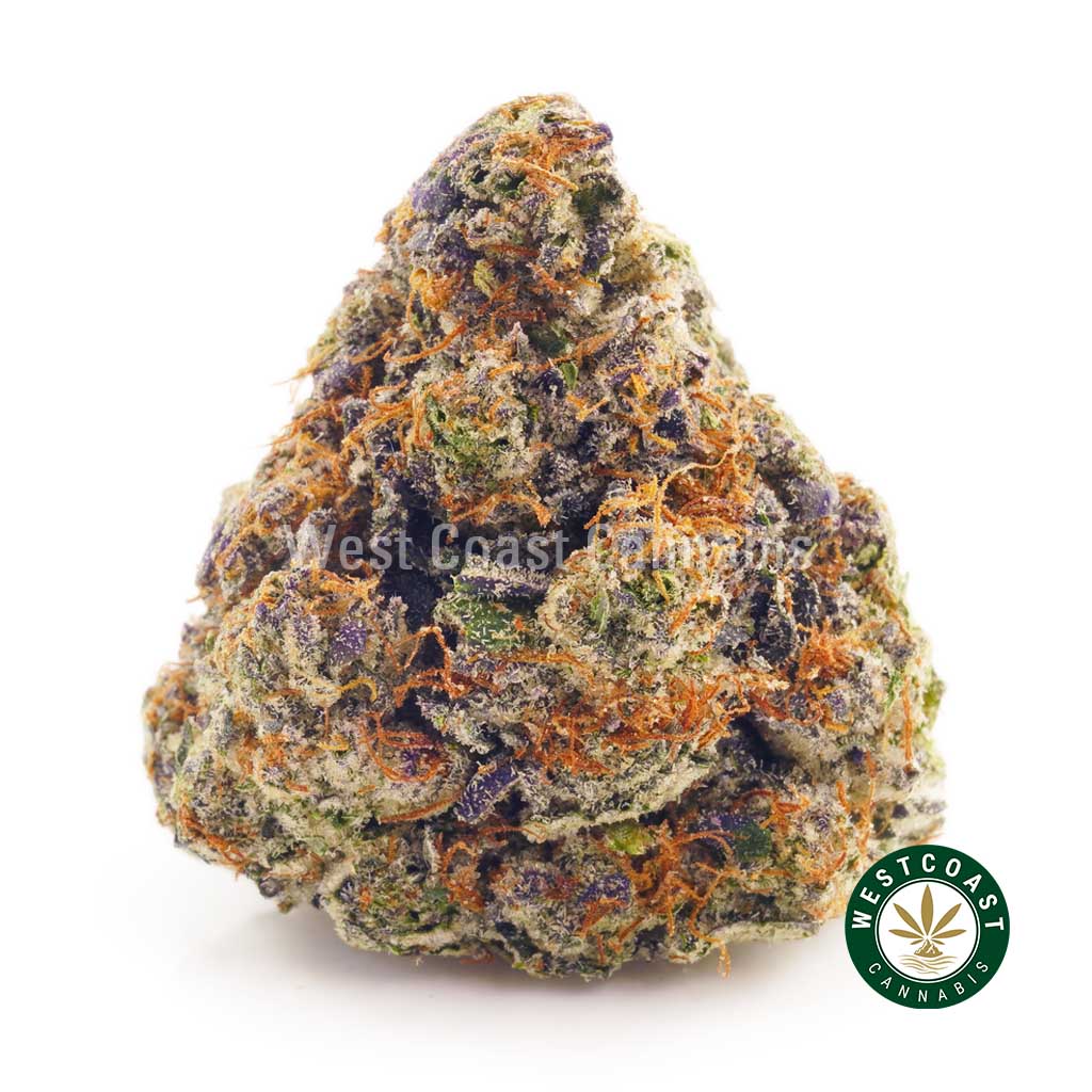 El Padrino weed strain product photo at west coast cannabis online dispensary canada. weed online canada. order cannabis online. buy weed online.