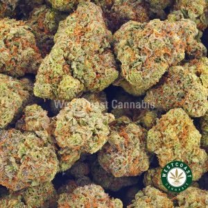 Buy Pacfic Blue AA at Wccannabis Online Shop