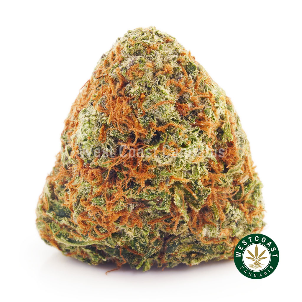 Buy Mango Punch AA at Wccannabis Online Store