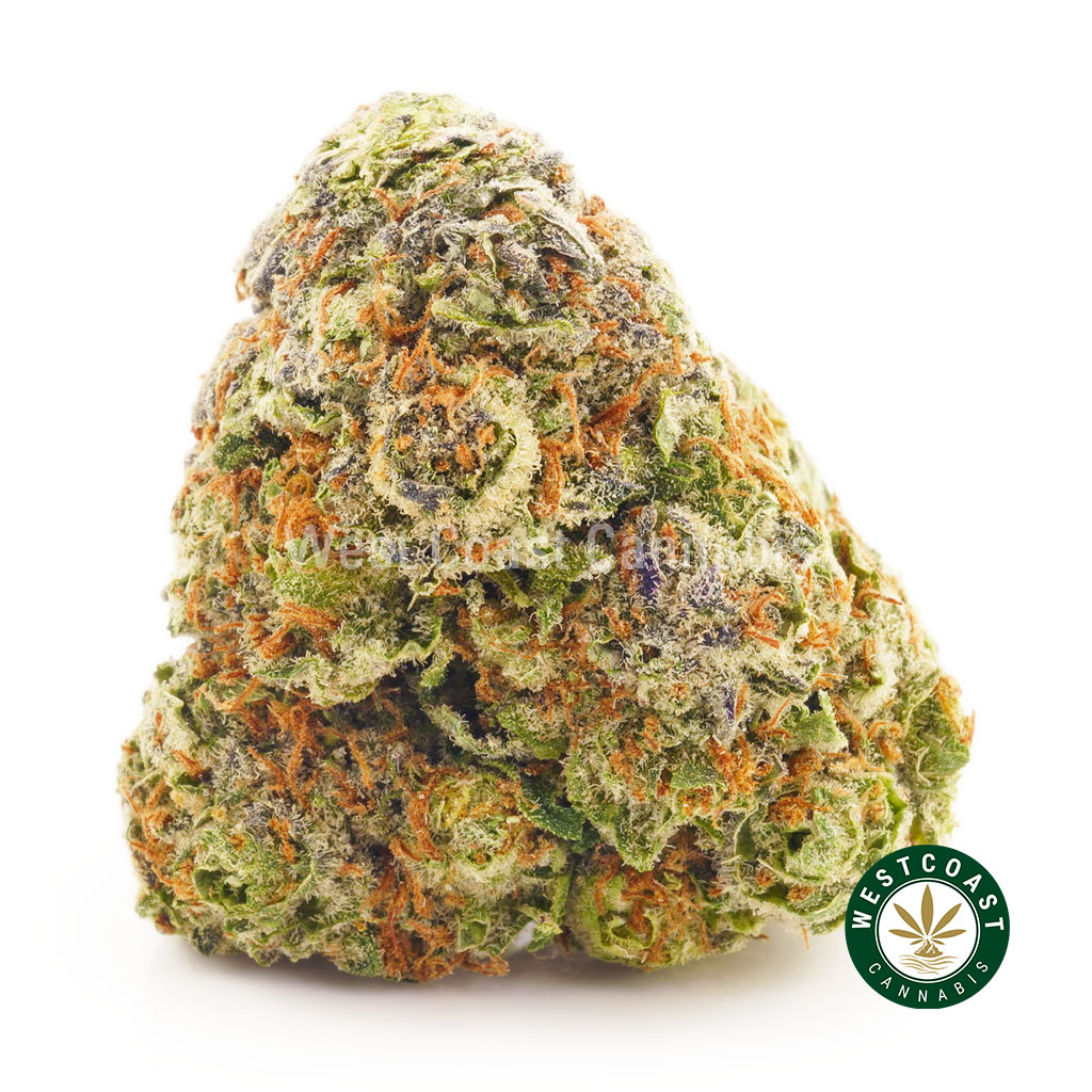 Buy UK Cheese AA at Wccannabis Online Store