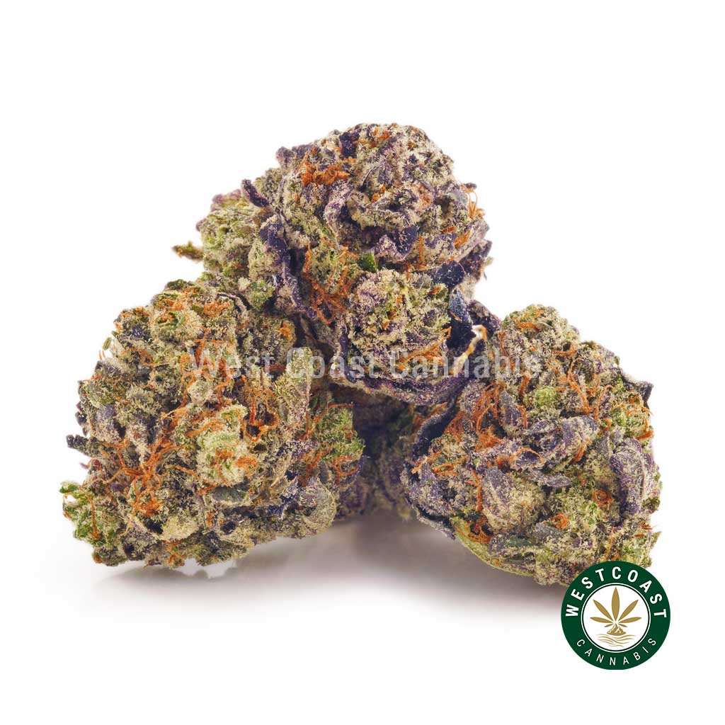 Buy purple monkey weed online in Canada from West Coast Cannabis online dispensary for mail order weed.