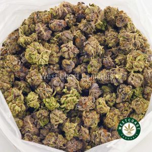 Buy weed online purple monkey strain from West Coast Cannabis. Buy online weeds from top online dispensary for cannabis canada.