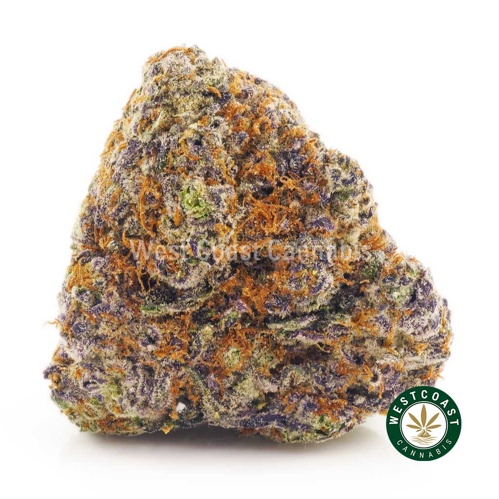 Order weed online White Rhino buds. Buy online weeds from top online dispensary for cannabis canada.