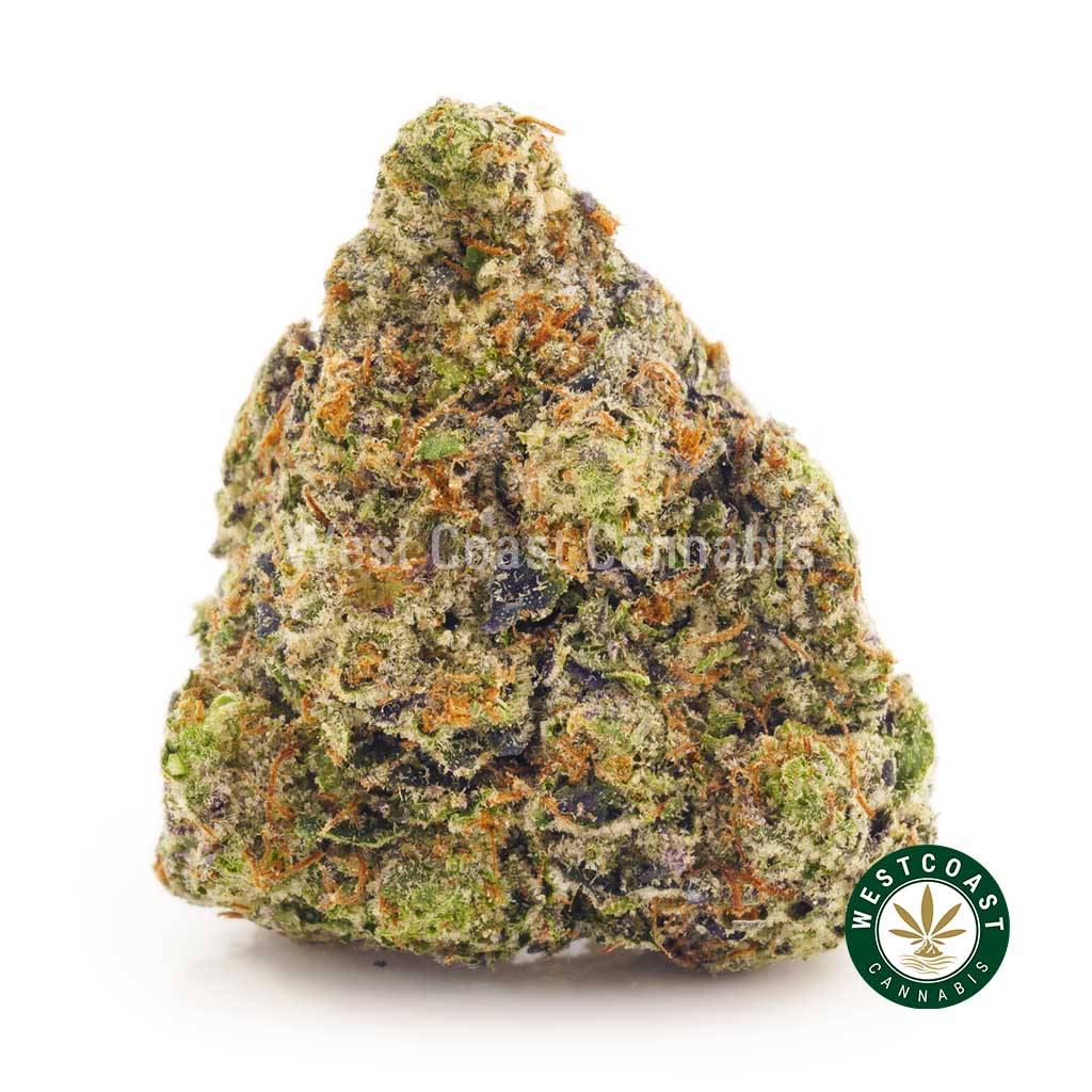 Order weed online White Lightning buds from the best online dispensary in Canada for mail order weed.