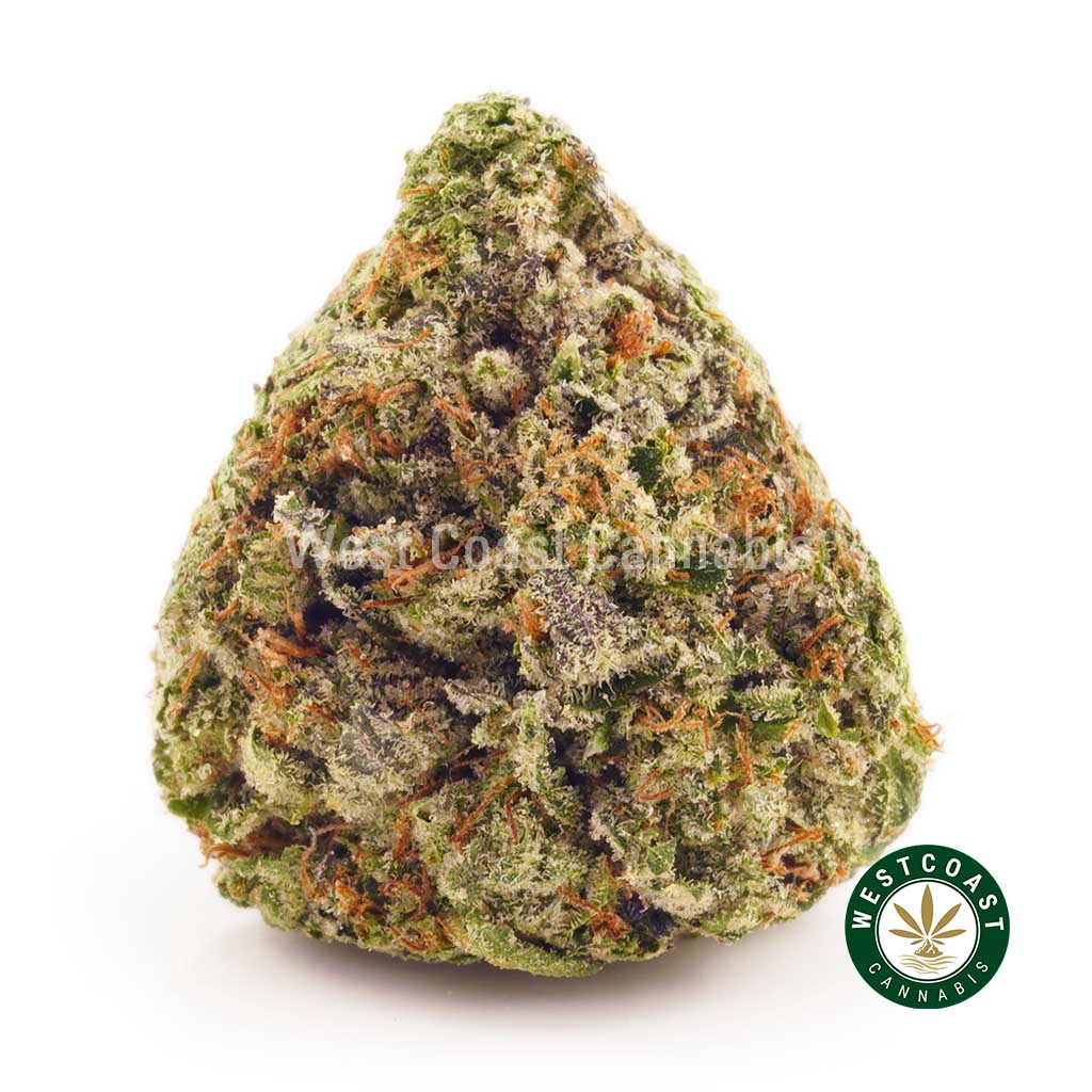 Buy Afghan Kush weed online at West Coast Cannabis online dispensary for mail order marijuana in Canada.