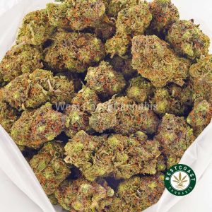 Buy weed Granddaddy Rockstar AAA at wccannabis weed dispensary & online pot shop