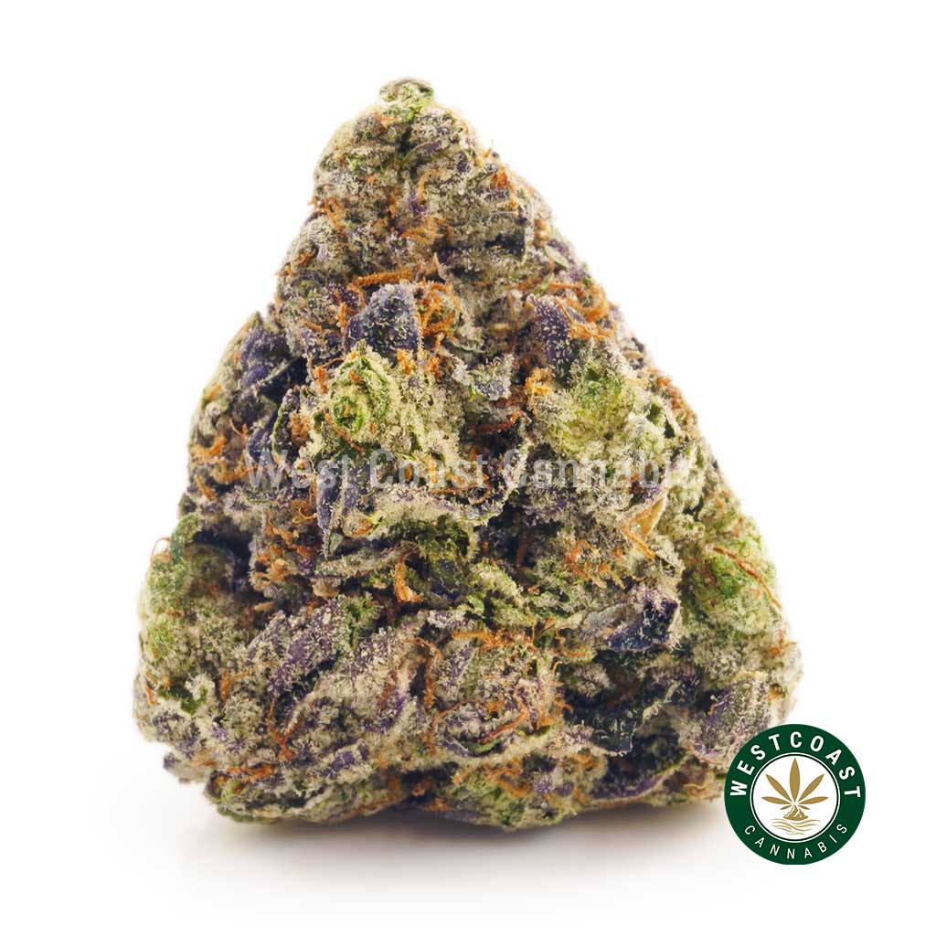 Order weed online Pink Congo buds. online weed dispensary. mail order weed canada.