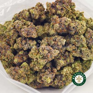 Buy weed online Pink Congo strain from West Coast Cannabis Canada WCC. online dispensary canada. order weed online.