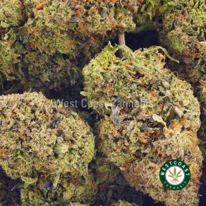 Order weed online dank schrader strain from West Coast Cannabis online weed dispensary. order cannabis online.