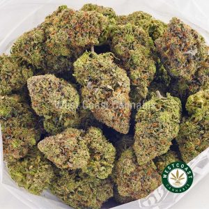 buy weed dank schrader strain and dank schrader weed online at West Coast Cannabis weed shop online. order weed canada.