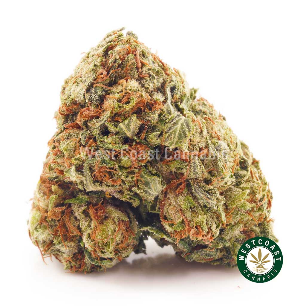 OG Kush weed online Canada from BC cannabis pot shop and weed store West Coast Cannabis dispensary Vancouver. cheapweed. edibles. cannabis canada.