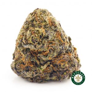 Black Mango Weed bud from West Coast Cannabis online dispensary. buy online weeds. best online dispensary canada. mail order marijuana.