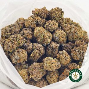 Buy weed online Black Mango strain from West Coast Cannabis online dispensary for cannabis in Canada.