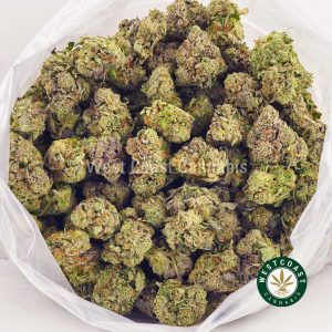 Buy Cannabis ACDC at Wccannabis Online Shop