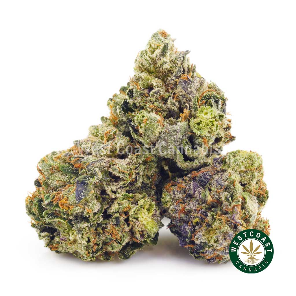 Buy Cannabis Blueberry Faygo Popcorn at Wccannabis Online Shop
