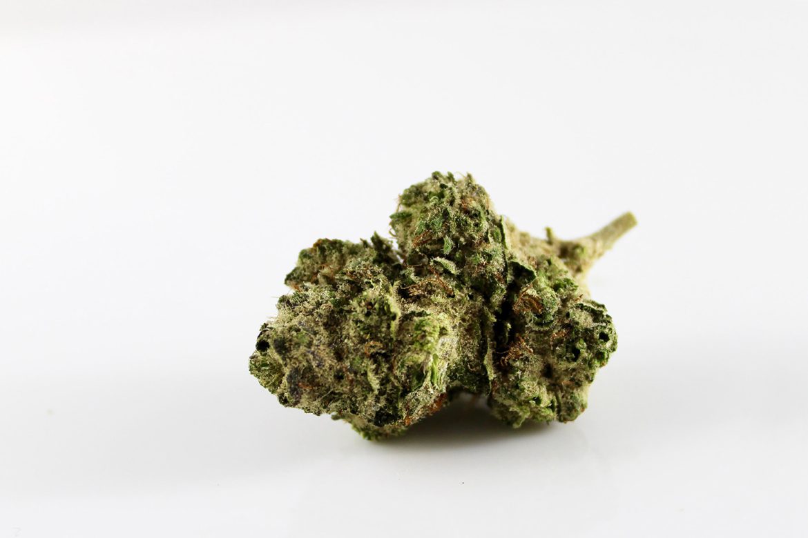 Pink Panties weed bud from West Coast Cannabis Canada online dispensary to buy weed.