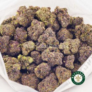 Buy weed Purple Afghan Haze AAAA at wccannabis weed dispensary & online pot shop