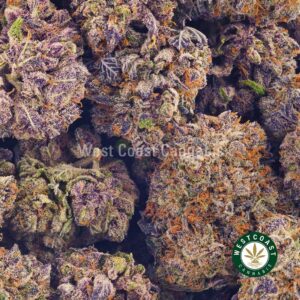 Buy weed Purple Biscotti AAAA at wccannabis weed dispensary & online pot shop