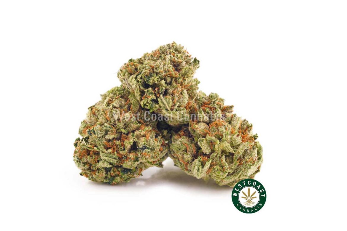 Rockstar OG Weed bud image for Rockstar OG strain review and information. Buy weed online in Canada.