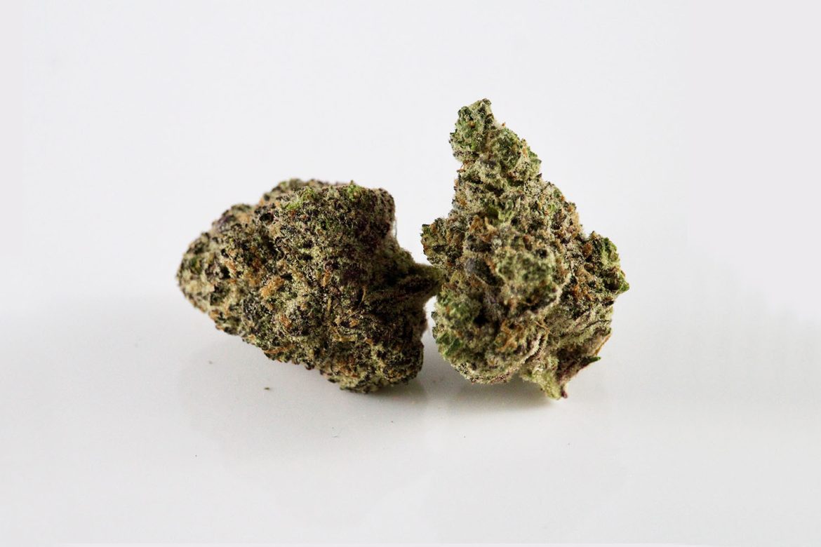 Buy weed online Pink Ghost Train Haze weed strain from West Coast Cannabis Canada. BC Cannabis online dispensary.