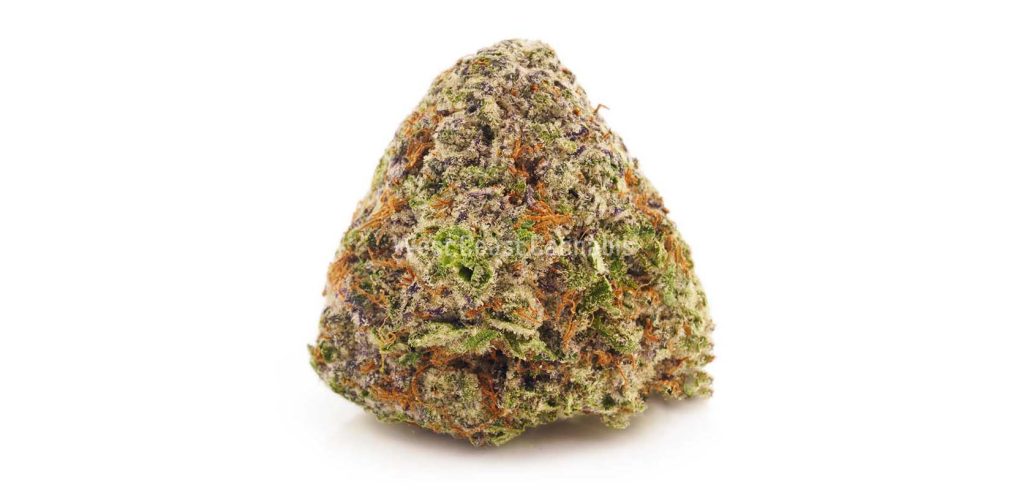 Blue Dream weed online from wccannabis weed dispensary pot shop for BC cannabis. Best Hybrid Strain for Euphoria.