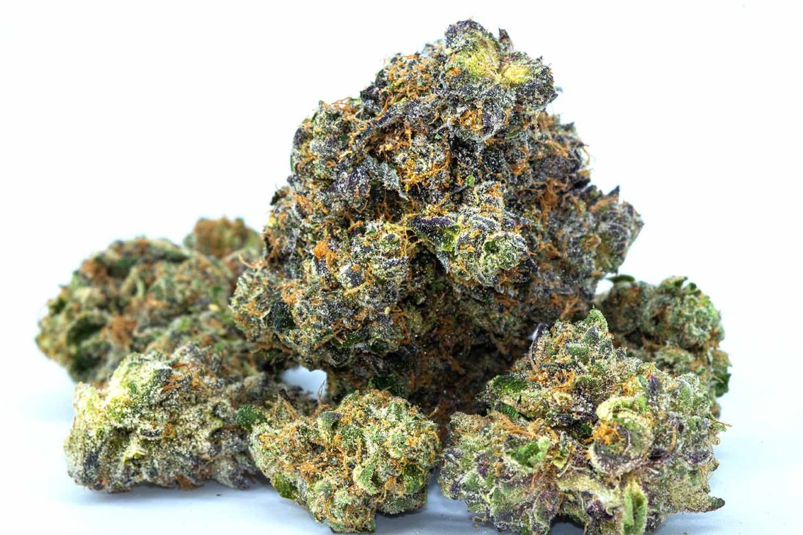 Buy weed God’s Green Crack strain at the best online dispensary in Canada for weed online.