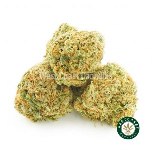 Buy Cannabis Mcgrupp Popcorn at Wccannabis Online Shop
