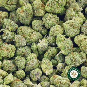 Buy weed online in Canada. Bio Chem BC weed buds. mail order marijuana. best sativa strains. weed shop online.