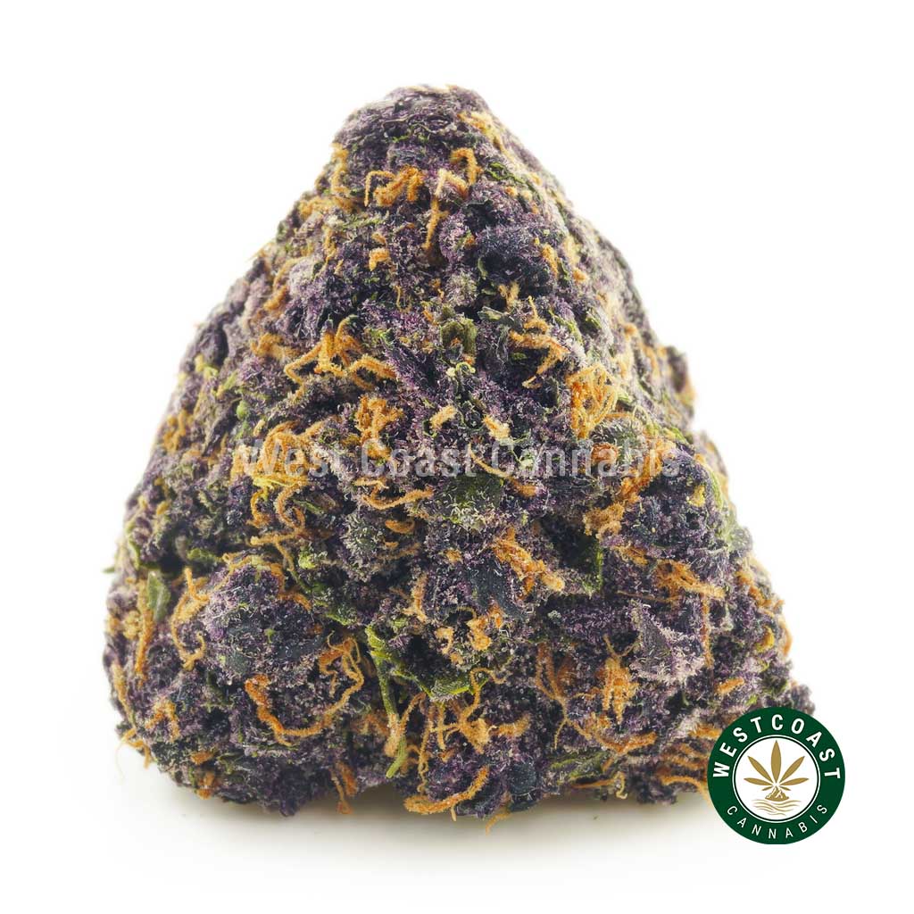 Buy Cannabis Purple Urkle at Wccannabis Online Shop