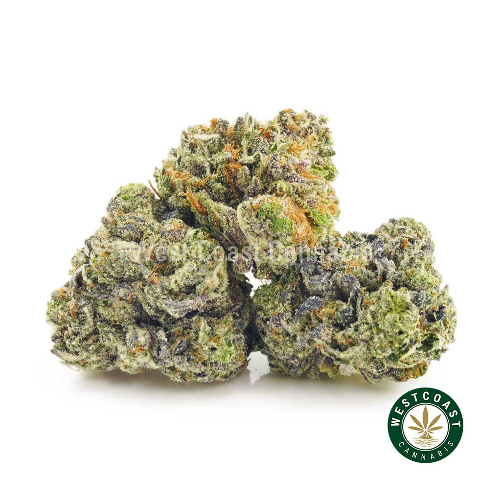Buy weed Darth Vader strain. best dispenseries for BC cannabis and hash online. weed dispensary. cannabis canada. weeds online.