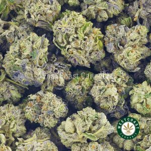 Order weed online Darth Vader strain popcorn cannabis from wccannabis online weed dispensary for mail order marijuana and edibles Canada.