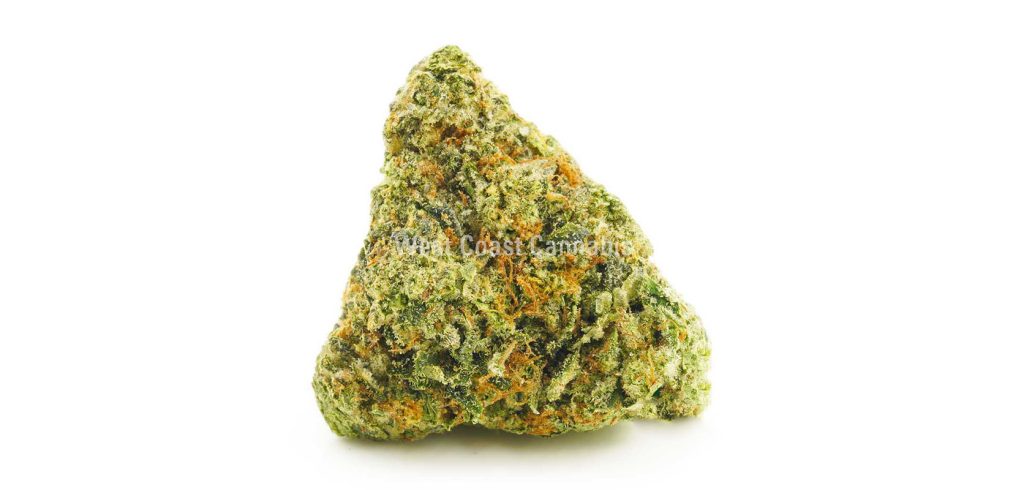 OG Kush weed online in Canada from West Coast Cannabis weed dispensary for mail order marijuana.