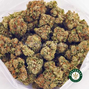 Buy online weeds Space Monkey strain. mail order marijuana canada. order weed canada. buy edibles online canada.