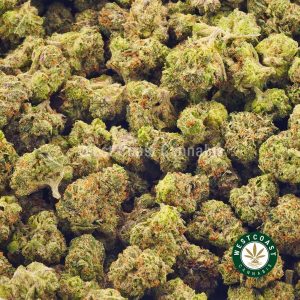 Order weed online Platinum Gelato. buy online weeds. online dispensary. cannabis canada.