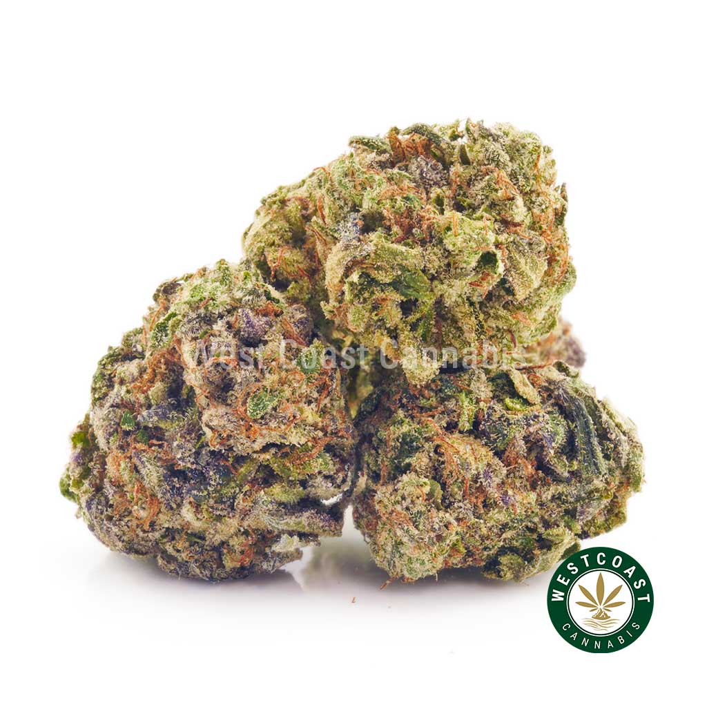 Buy pink dream weed online. budget buds. moon rock weed. weed delivery canada. indica strains. buy weeds online.