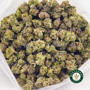 Buy Cannabis Platinum Alien Cookies at Wccannabis Online Shop