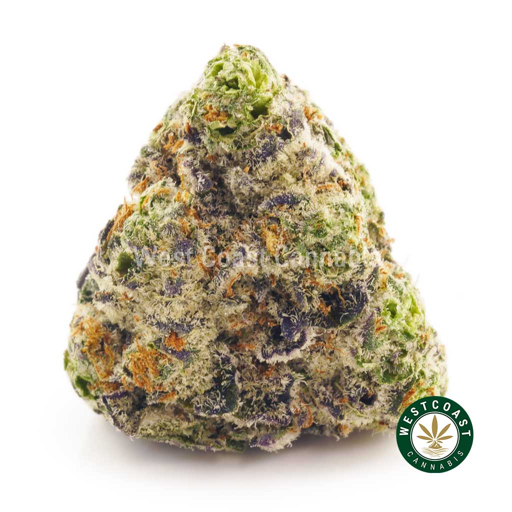 Buy weed Lemon Cheesecake mail order marijuana from West Coast Cannabis online dispensary in Canada. buy online weeds.