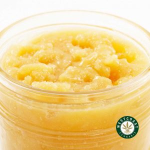 Buy Black Cherry Gelato weed concentrate live resin from west coast cannabis online dispensary for weed online Canada.