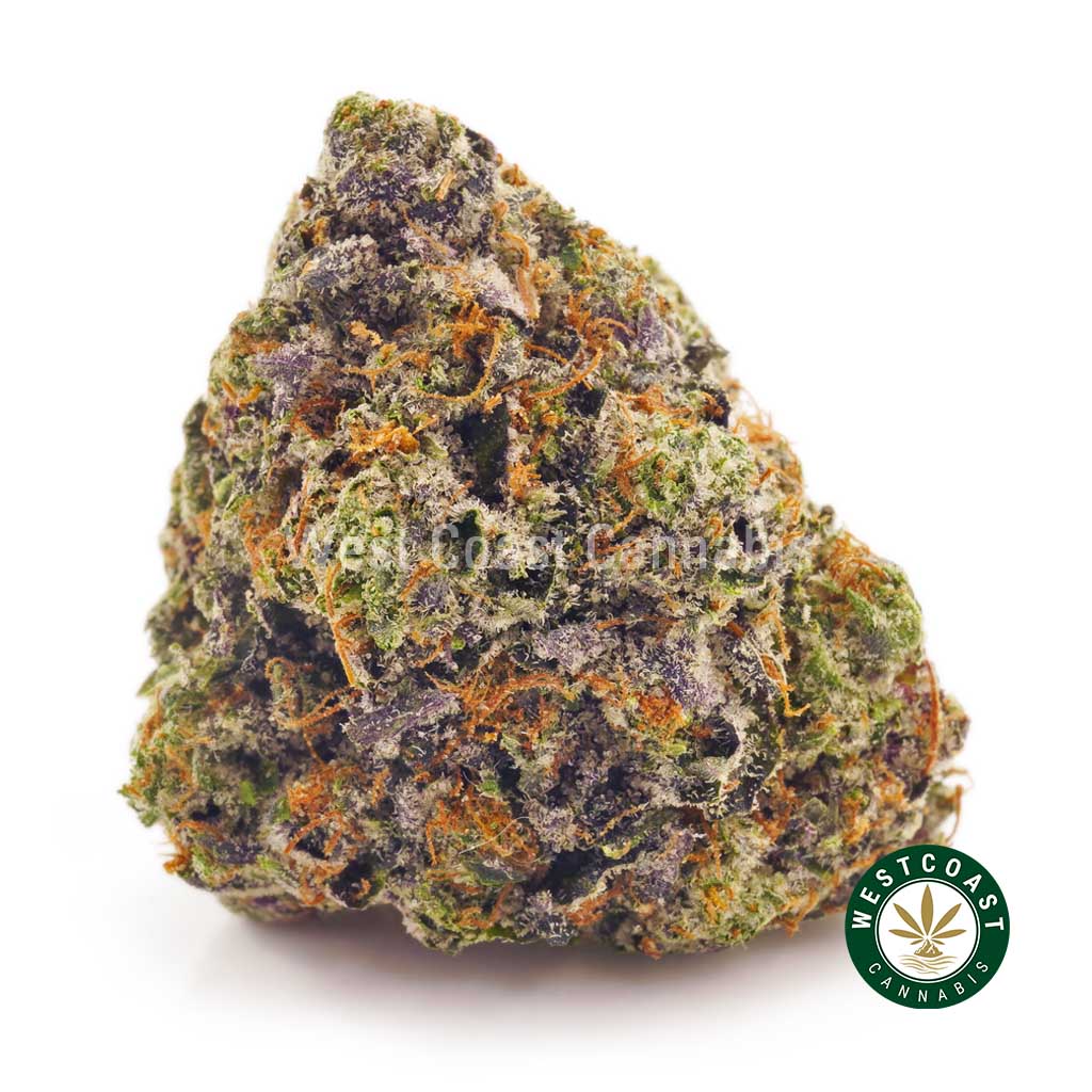 Buy Cannabis Cherry Punch at Wccannabis Online Shop