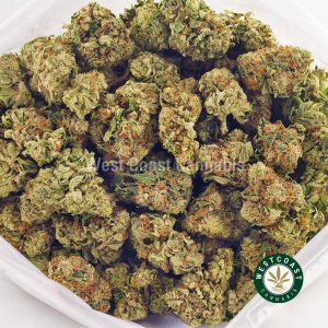 Buy Cannabis Pink Punch at Wccannabis Online Shop