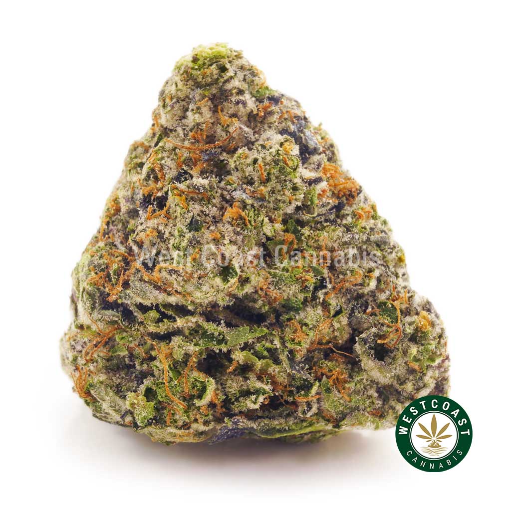 Order weed online Pink Gas strain from wccannabis BC cannabis stores. online dispensary canada to buy weeds online. cannabis canada. Dispencary.