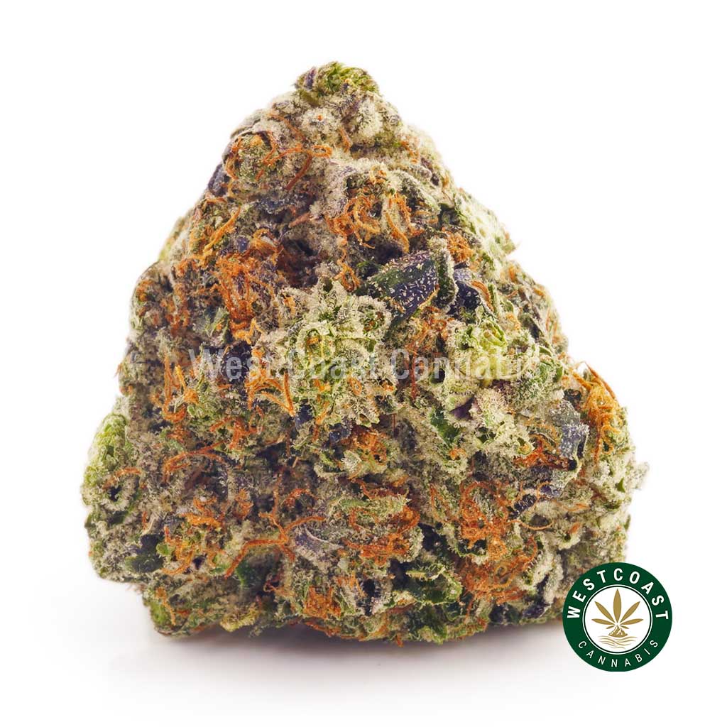 Buy online weeds Blue Afghani BC cannabis from online dispensary in Canada for mail order marijuana weed online. dispencary.