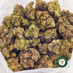 Buy blue afghani strain weed online at wccannabis online dispensary in Canada for BC cannabis. marijuana dispensary. cannabis canada. weeds online.