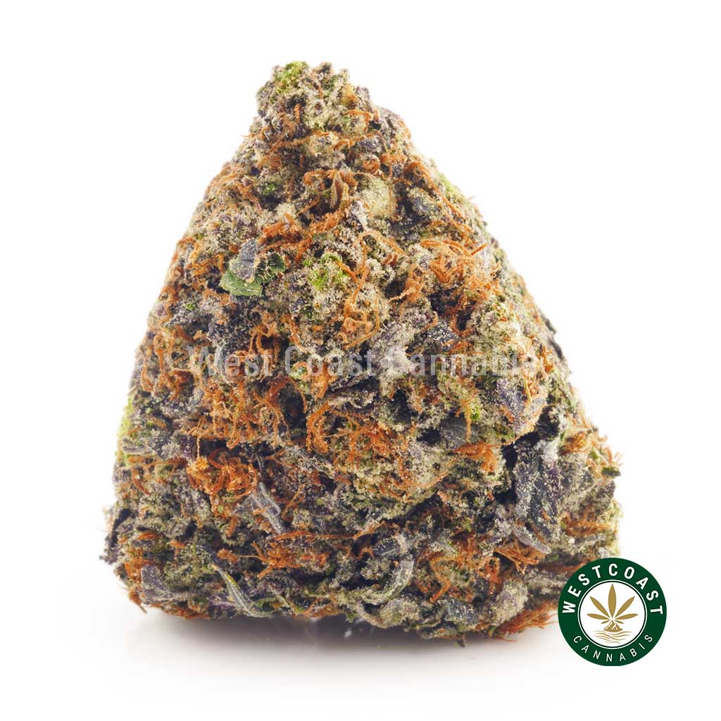 Buy weeds online Purple Urkle from west coast cannabis dispencary. marijuana dispensary. budgetbuds. weed edibles. canada weed.