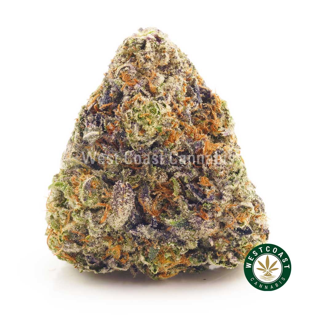 Buy weed online Gassy Gelato strain BC cannabis from online weed dispensary for mail order marijuana. West Coast Cannabis pot store.