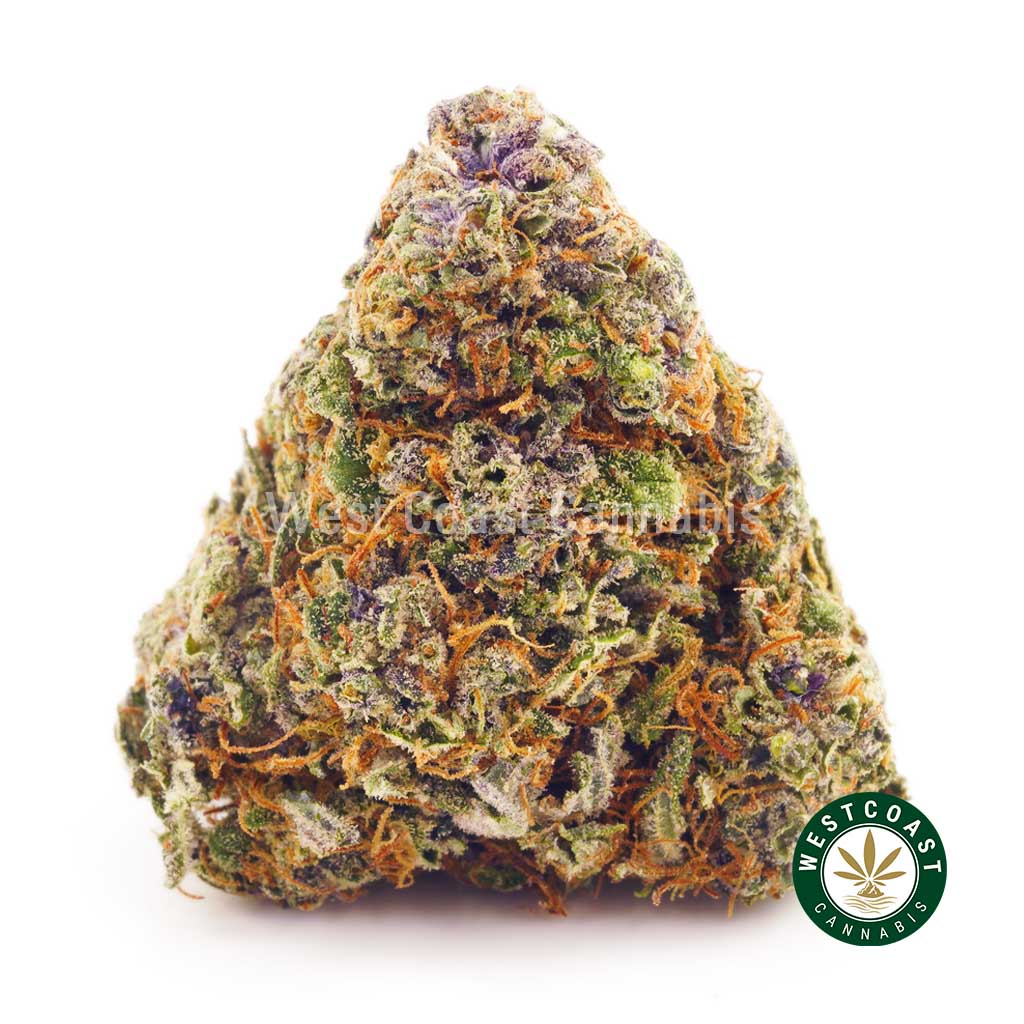 pink lemonade strain weed online from wccannabis pot store for cheap bud Canada. order cannabis online.