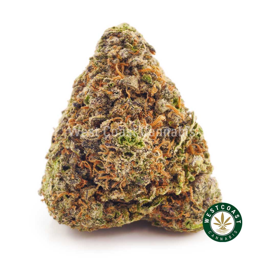 Budget Buds weed online gorilla breath strain at wccannabis online dispensary in Canada. weed store.