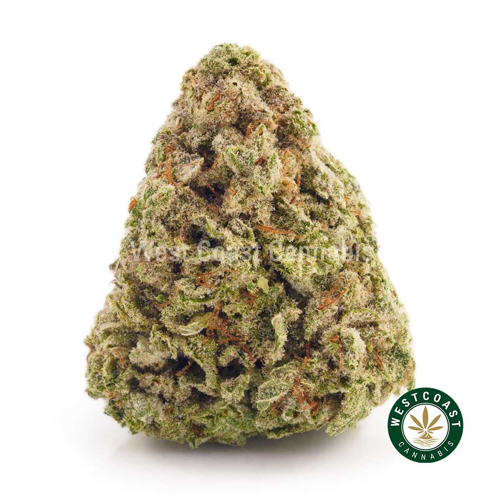 buy online weeds candy kush weed online canada. budgetbuds. canada weed. sativa strains. weed canada.